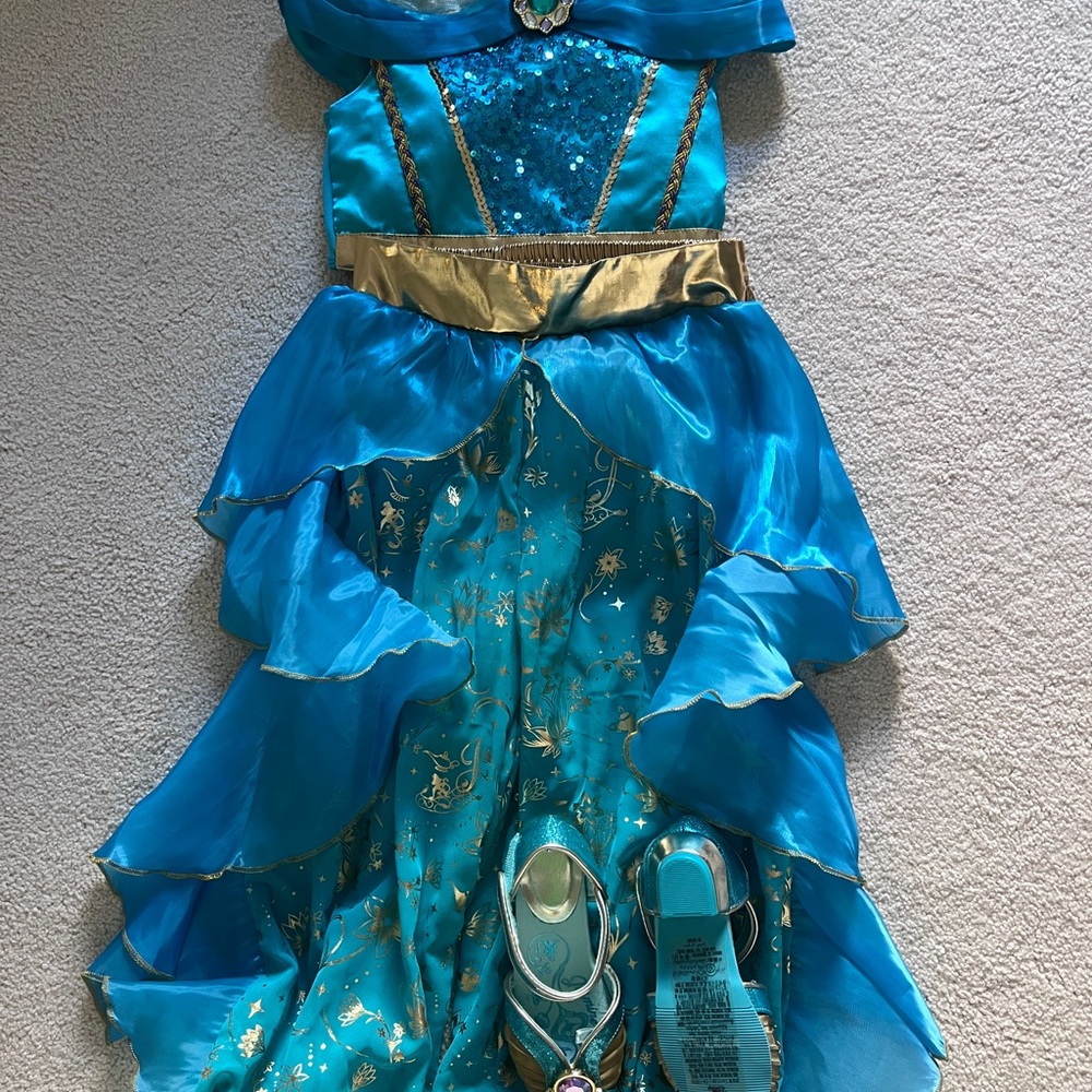 Disney Turquoise and Gold Princess Jasmin Dress